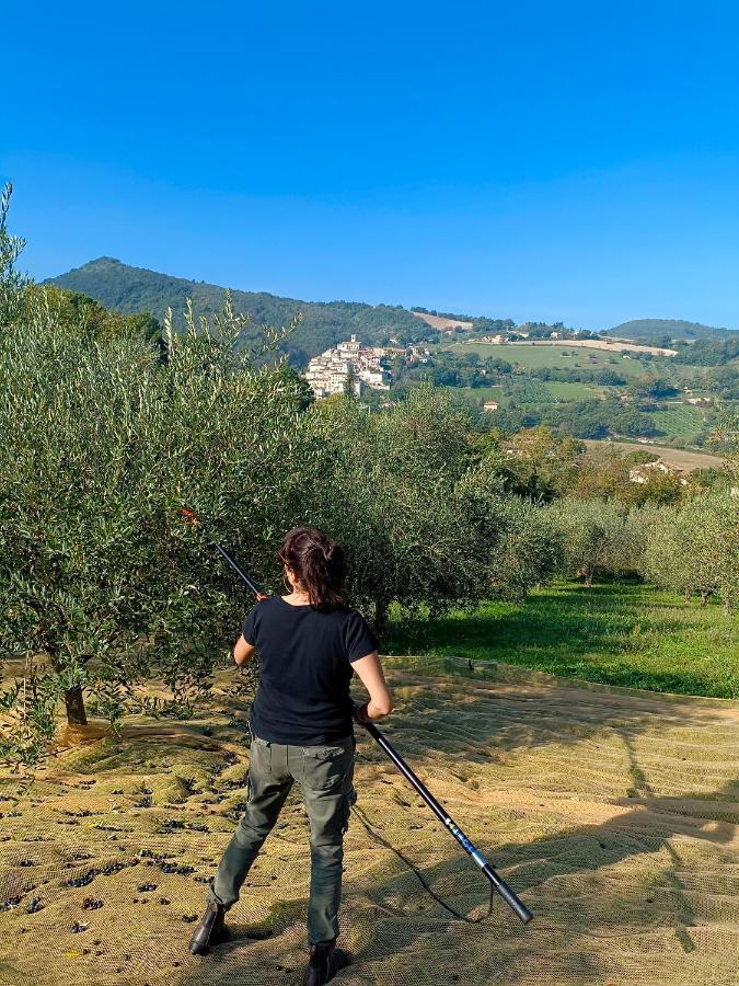 Degli Alessandri House Sassoferrato ภายนอก รูปภาพ