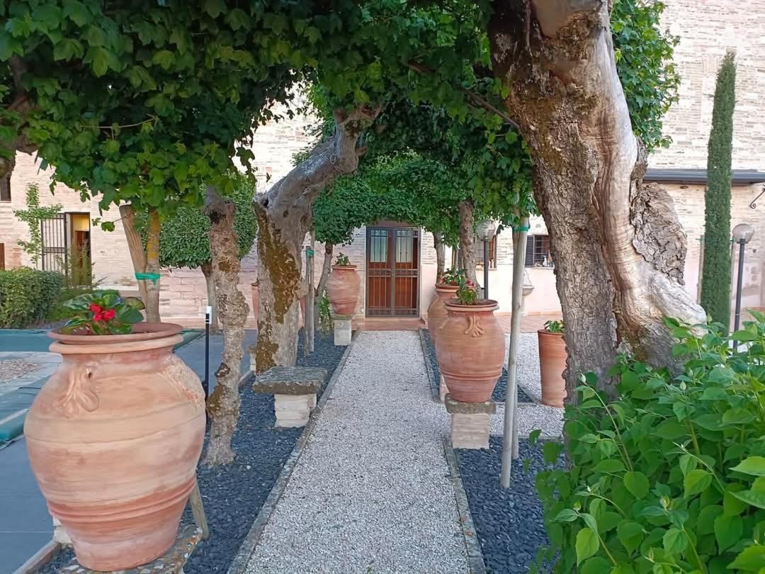 Degli Alessandri House Sassoferrato ภายนอก รูปภาพ